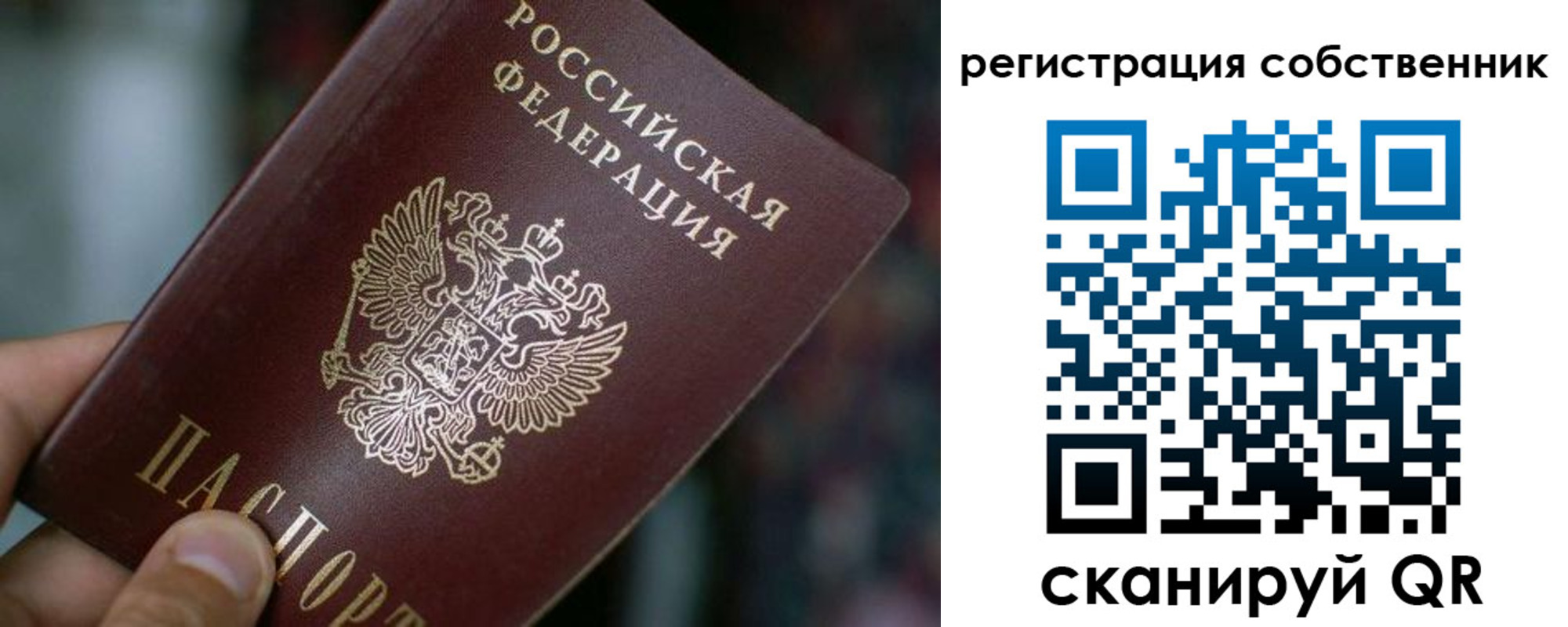 прописка гарантия в Камышине